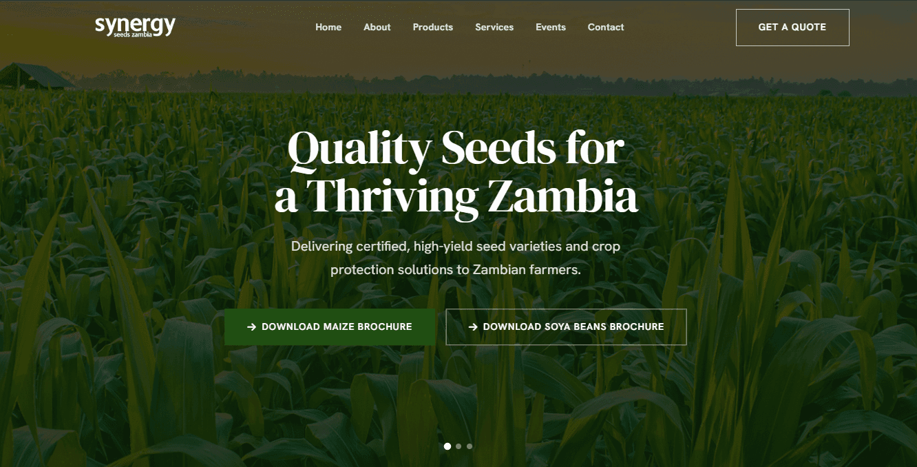 The Synergy Seeds website homepage, showing certified maize seed products